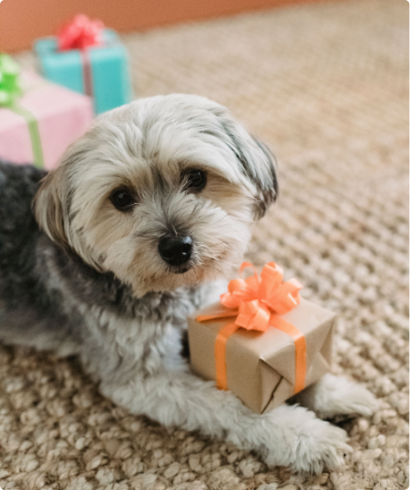 Gift voucher