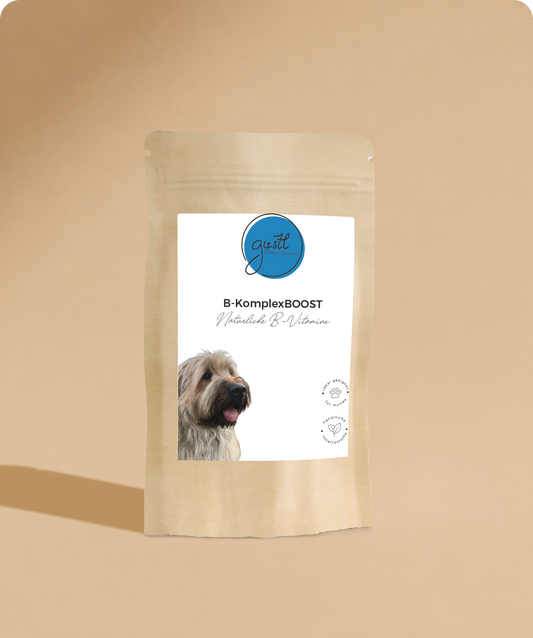 GUSTL B-KomplexBoost – Ergänzungsfuttermittel für Hunde