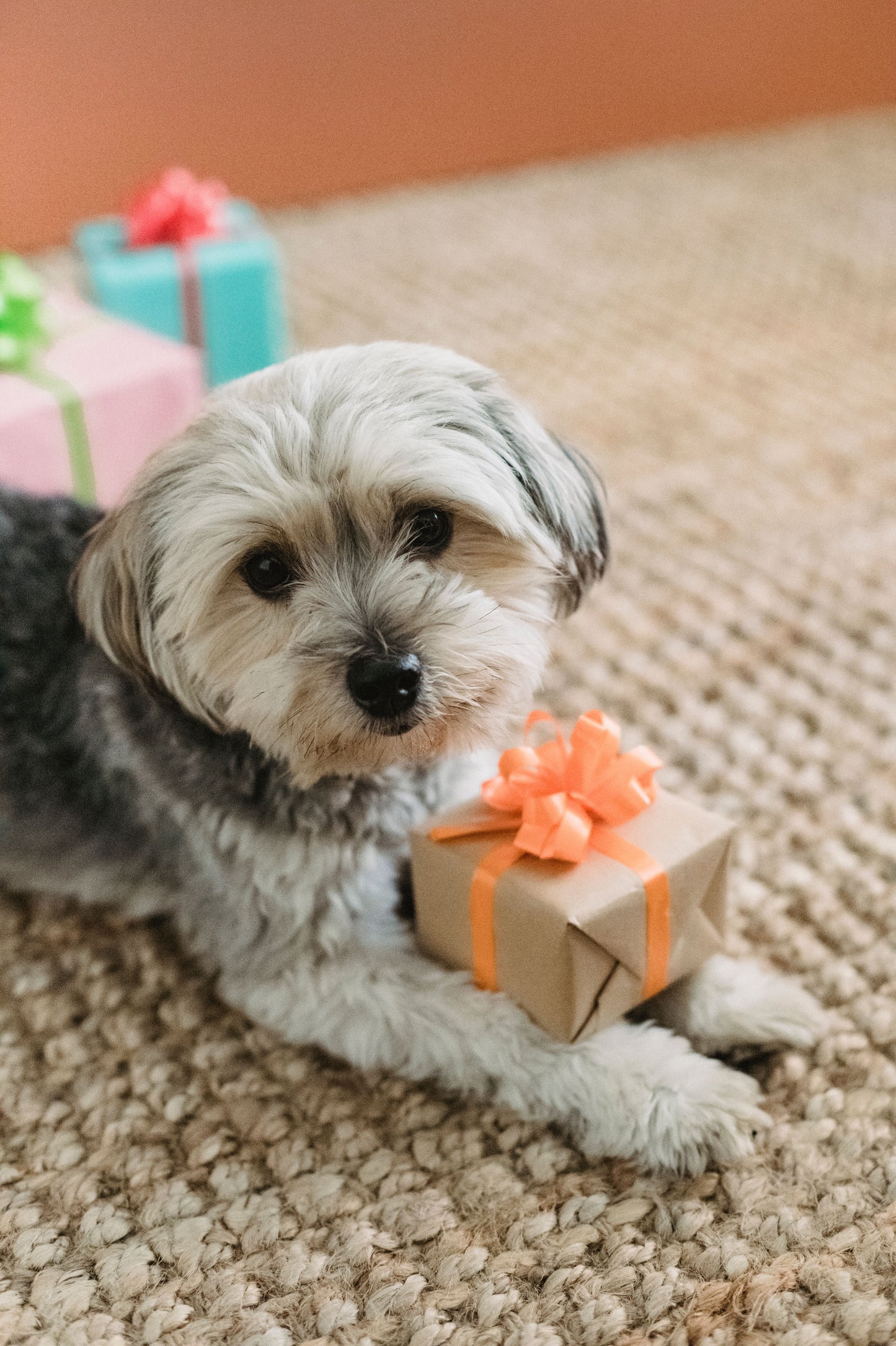 Gift voucher
